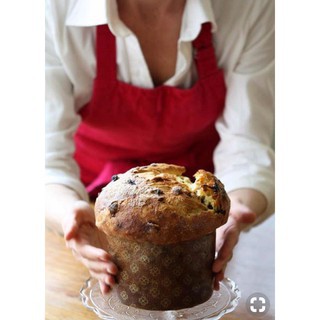 10 khuôn giấy Panettone đủ size