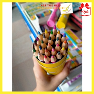 Bút Chì Màu Dạng Ống Không Độc Hại An Toàn Cho Bé TRITUEVIET
