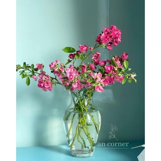 Lọ hoa chum gầy miệng bèo