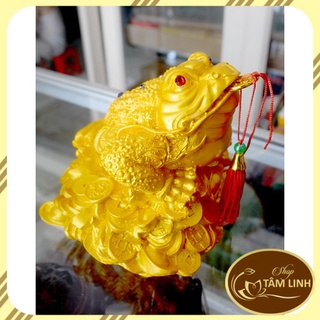 Tượng Cóc Ba Chân ngậm tiền-Thiềm Thừ chiêu tài Lộc Nhiều Mẫu