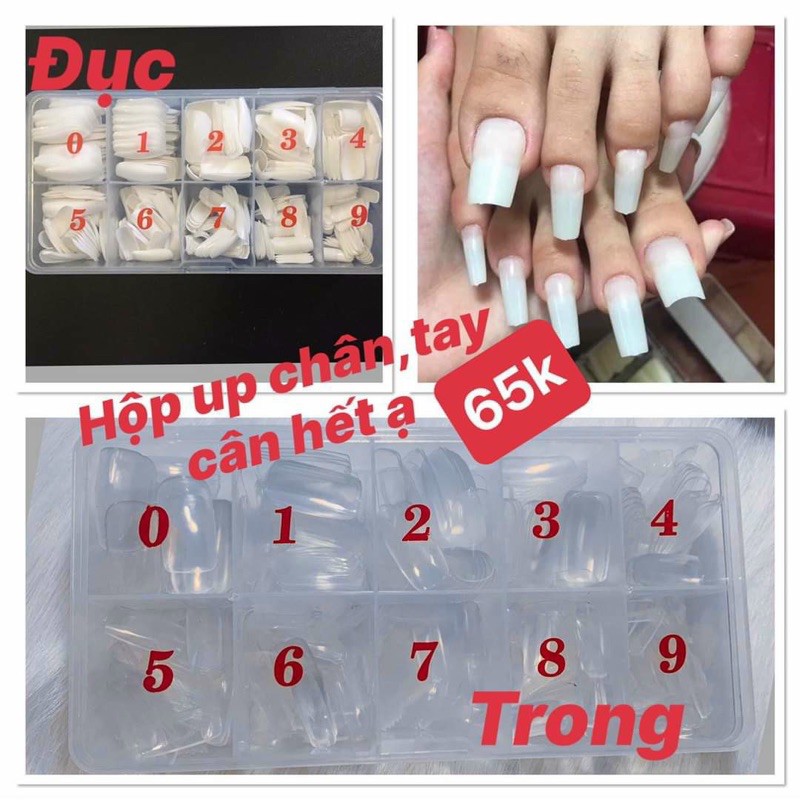 Móng Úp Tay Chân