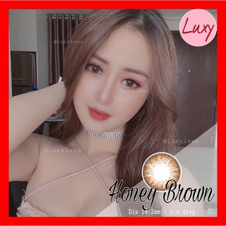 [ Ảnh Thật ] Lens Honey Brown 0-6 diop Nhập Khẩu Hàn Quốc - Luxy Lens