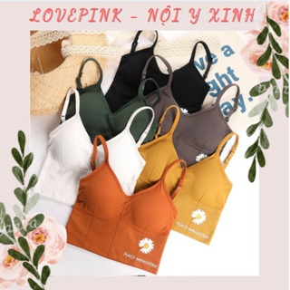 Áo BRA Len Tăm Hoa Cúc Tập GYM, YOGA Khoét Lưng Cao Cấp - 006BRA28