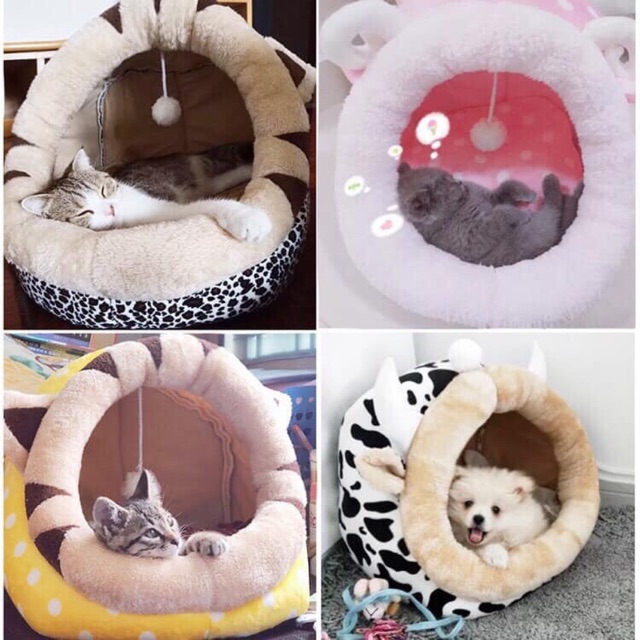 Nệm chó mèo