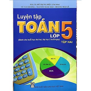 Sách Luyện tập toán lớp 5 tập 2