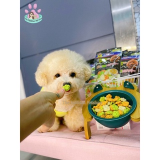 Bánh quy sữa và rau củ cho chó - Doggy Man Nhật