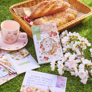 Hộp 30 tấm postcard, thiệp chúc mừng đáng yêu