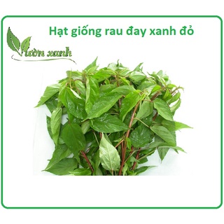 Hạt giống rau đay xanh đỏ 20gr