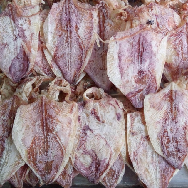 Combo 50 con mực khô mini
