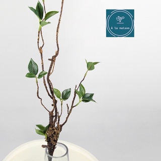 Cành lá si bonsai mô phỏng dùng trong thiết kế hoa nghệ thuật, hoa lá trang trí nhà cửa