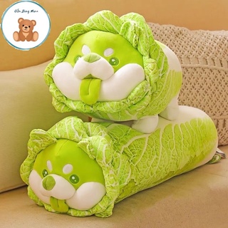 Gấu Bông Chó Shiba Bắp Cải Dáng Nằm - Gấu Bông Mina