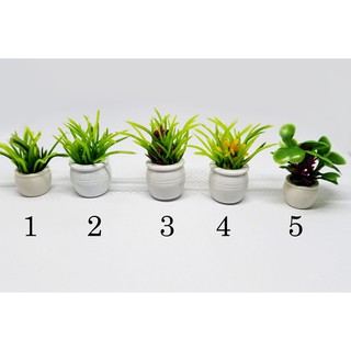 Mô hình Chậu cây trang trí tiểu cảnh terrarium, nhà búp bê, DOLLHOUSE DIY
