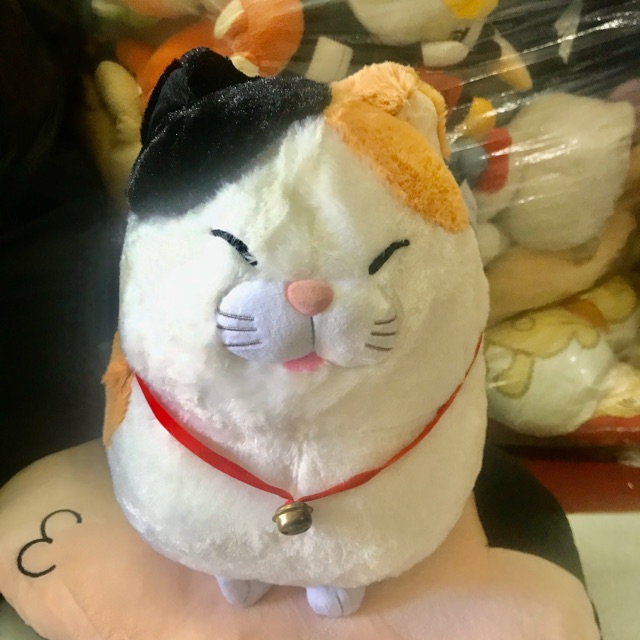 Gâu bông t.tiên