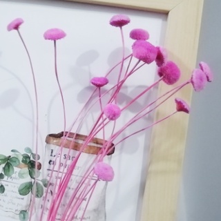 HOA KHÔ DECOR TRANG TRÍ, NGUYÊN LIỆU LÀM THIỆP