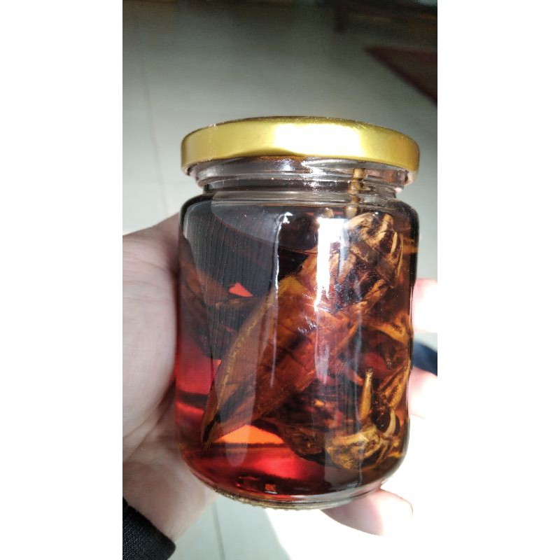 Mắm Cà Cuống