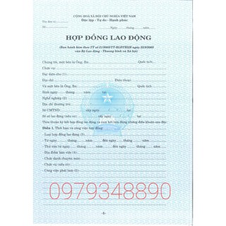 HỢP ĐỒNG LAO ĐỘNG MẪU MỚI 2022 (20 tờ)