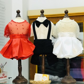 ÁO CHÓ MÈO - VÁY ĐẦM THIẾT KẾ CAO CẤP