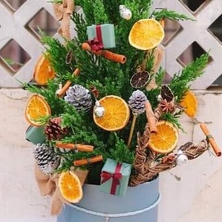 Lát Cam sấy, vỏ Quế, bó củi khô, quả Thông trang trí cây thông Noel, bánh kem