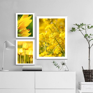 Bộ khung ảnh có kính hoa vàng 1 tặng kèm phụ kiện KA266