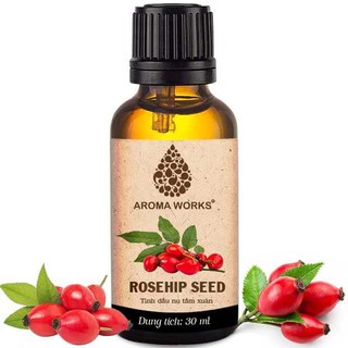 Dầu Thiên Nhiên Nụ Tầm Xuân Aroma Works Essential Oils Rosehip Seed