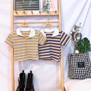 595 link live Áo croptop kẻ sọc
