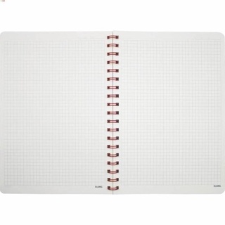 Sổ caro lò xo kép B5 bìa nhựa 200tr 72,4g fo kem; MS: 299 [Klong]