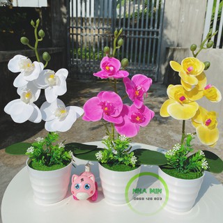 Cây hoa giả - Chậu hoa lan hồ điệp cao cấp cực chill - Hoa trang trí, để bàn