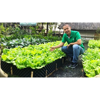 (Cao 15cm, bán theo mét tới) Bầu ươm cây V6 Vietgrow có sẵn ốc vít
