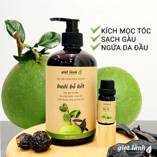 Dầu gội bồ kết - Tinh dầu bạc hà nguyên chất, giúp kích mọc tóc, giảm gàu, ngứa, rụng tóc Giọt Lành