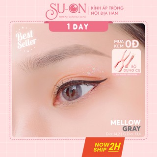 [Video thật] Lens 1 ngày Ann365 MELLOW GRAY áp tròng 14,2mm, xám tây tro khói, siêu êm đeo 24h