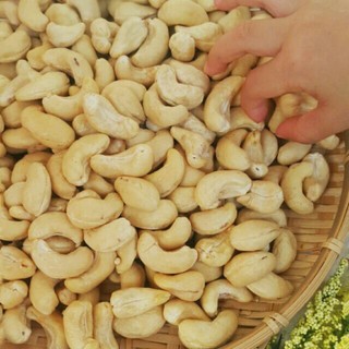 Hạt Điều Tươi chưa rang (làm sữa hoặc rang tẩm vị)
