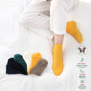 Tất nữ cao cổ Có Tất Là Có Tất chất cotton cao cấp - SKY