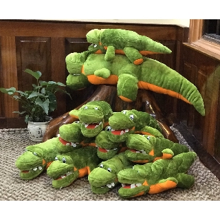 Thú Nhồi Bông Hình Cá Sấu Hình ThậtGối Ôm Cá Sấu Size 45cm,70cm,100cm Siêu Chất Lượng