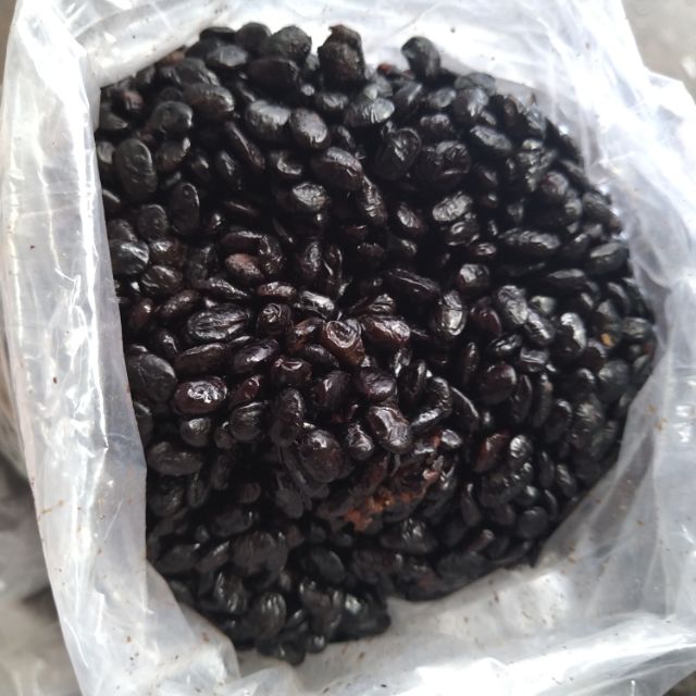 Hạt tàu xì 100g