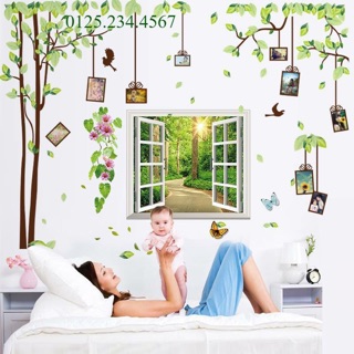 Decal dán tường Combo 2 tranh cây khung ảnh + khung cửa sổ xanh