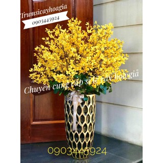 Sỉ Cành Mai Mỹ Cao cấp cao 90cm- Hoa Giả