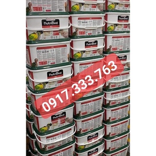Bột A21/A19 cho vẹt,chim gói 100g date mới cập nhật
