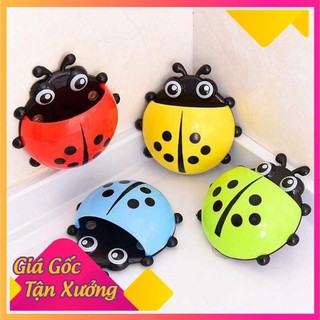 DỤNG CỤ ĐỰNG BÀN CHẢI, KEM ĐÁNH RĂNG BỌ RÙA DỄ THƯƠNG
