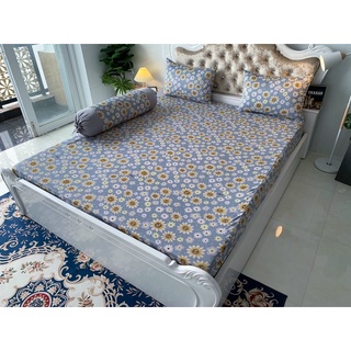 [Mã BMBAU50 giảm 7% đơn 99K] Ga chống thấm Minh Mẫn cotton thun nano kháng khuẩn