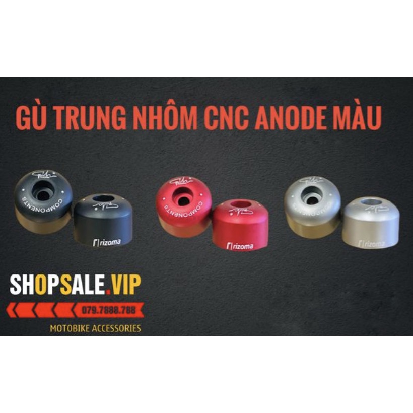 Gù Trung Rizoma