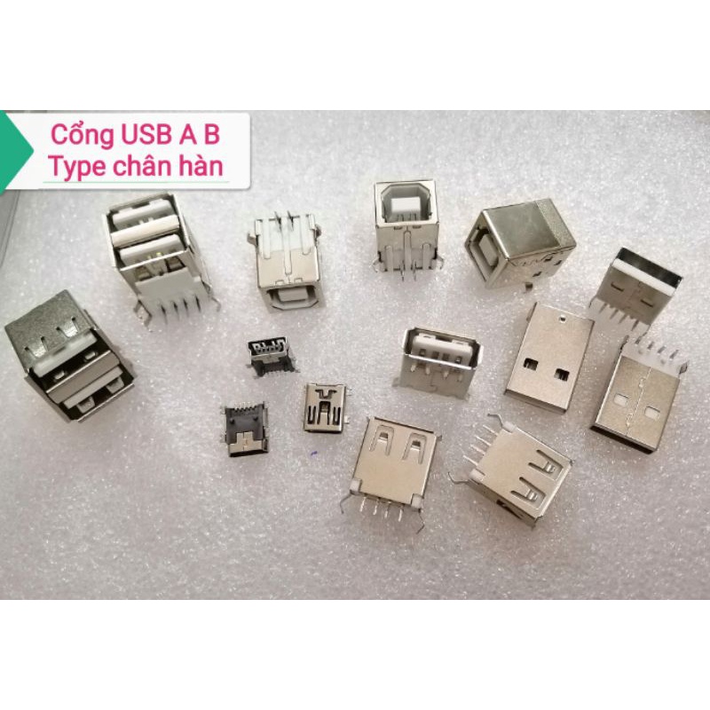 Cổng USB A Type B Type mini USB 2 chiếc