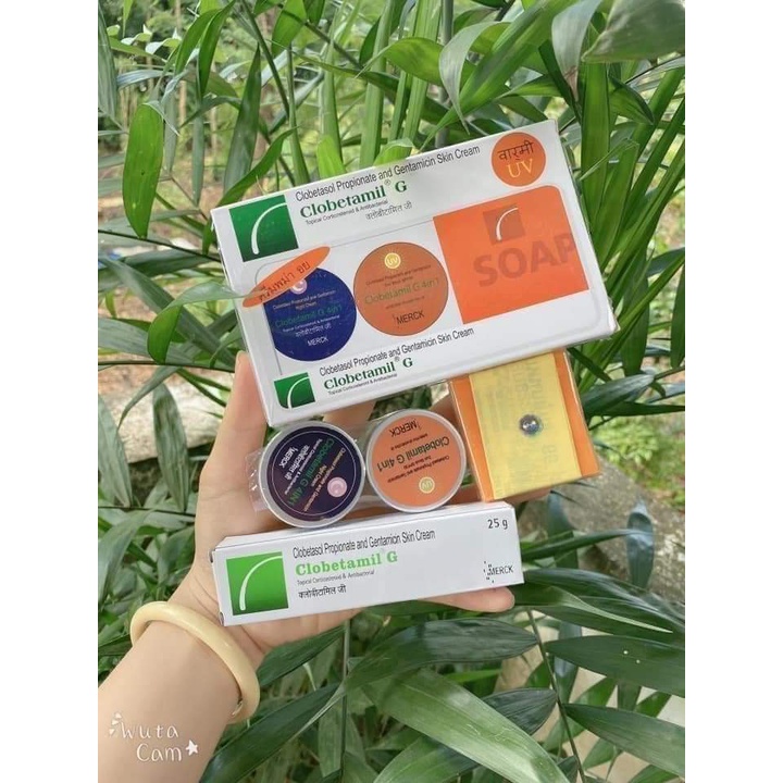 𝗸𝗲𝗺 𝘁𝗿𝗶̣ 𝗻𝗮́𝗺 𝗰𝗮𝗼 𝗰𝗮̂́𝗽 𝗰𝗵𝗶́𝗻𝗵 𝗵𝗮̃𝗻𝗴 𝘁𝗵𝗮́𝗶 𝗹𝗮𝗻