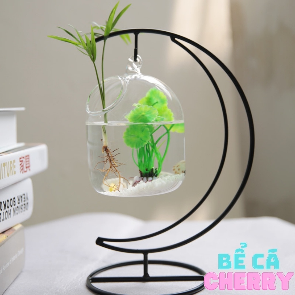 Bể cá mini cung trăng - 18 ( tặng kèm phụ kiện trang trí )