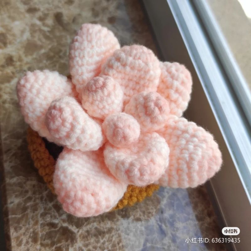 Chậu sen đá bằng len
