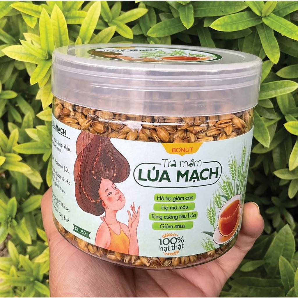 Trà mầm lúa mạch