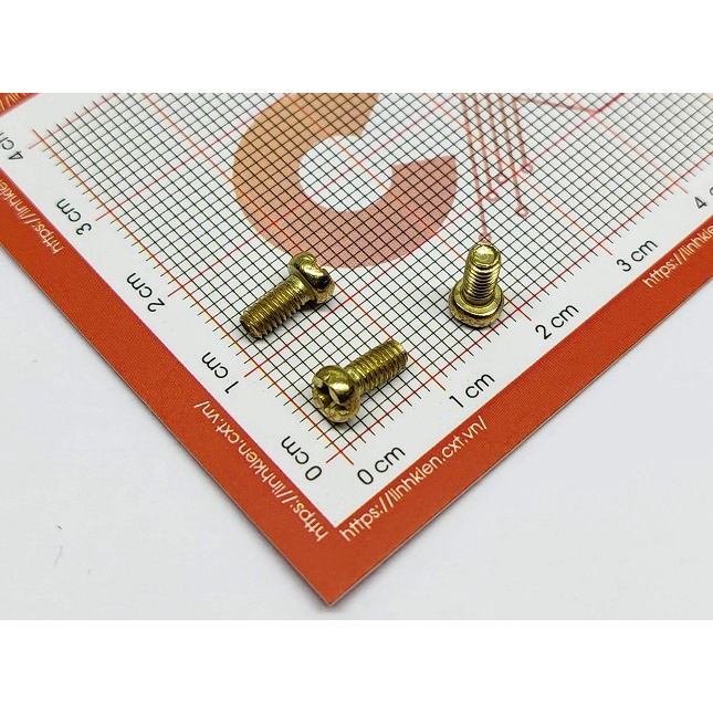 Ốc Vít M3x6mm (10c)
