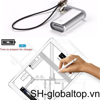 Đầu Chuyển Đổi Cáp Sạc Từ Female Sang Female Bằng Nhôm Cho iPad Pro Apple Pencil