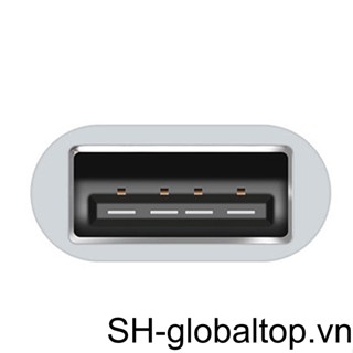 Set 10 Đầu Chuyển Đổi Micro USB Sang USB 2 0 OTG Cho Điện Thoại / Máy Tính Bảng Android