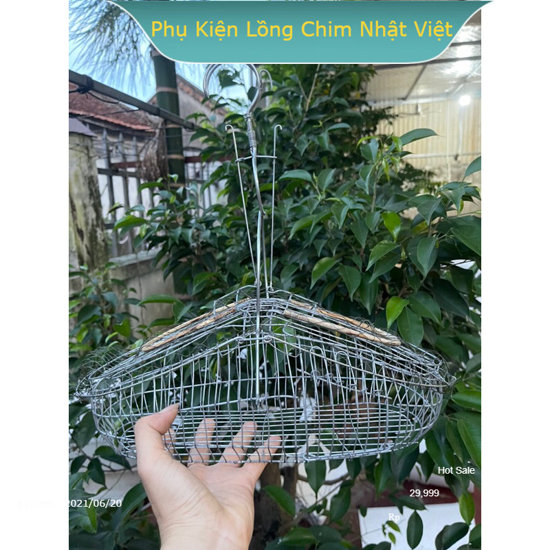 Lồng bẫy Khuyên, Hút Mật- lồng bẫy chất liệu kẽm phom 2 mặt dễ dàng sử dụng kèm cóng nhựa xiên chuối PKLCNV