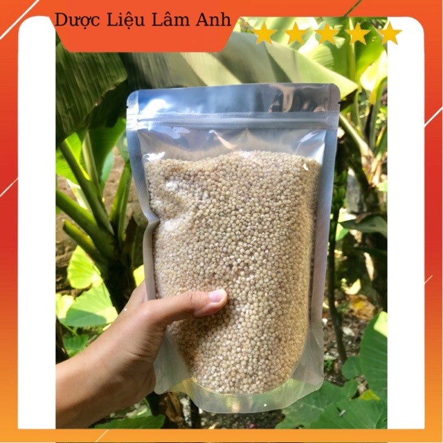 Hạt Ý dĩ (bo bo)